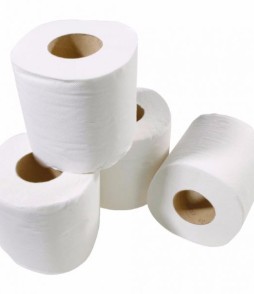 Toilet Roll Tissue 2 ply pkt