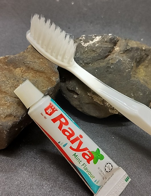 <FA-104> 6" Toothbrush with 5gm Raiya Toothpaste in Laminated Tube (50 pkt)