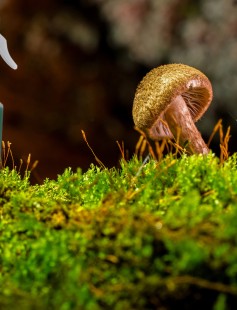 <AIRSCENTZ> 301 Antiseptic Fragrant Spray - 450ml