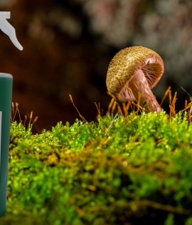 <AIRSCENTZ> 301 Antiseptic Fragrant Spray - 450ml