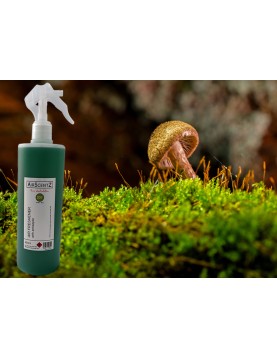 <AIRSCENTZ> 301 Antiseptic Fragrant Spray - 450ml