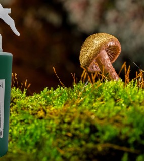 <AIRSCENTZ> 301 Antiseptic Fragrant Spray - 450ml