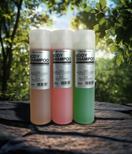 <H&H> Body Shampoo with Sandalwood & Ganoderma Lucidum 400ml