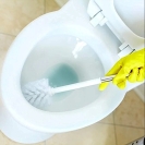 Toilet Bowl Cleaner 5L