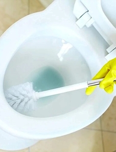 Toilet Bowl Cleaner 5L Toilet Bowl Cleaner 5L